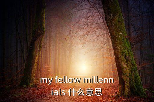 為什么叫千禧一代，my fellow millennials 什么意思