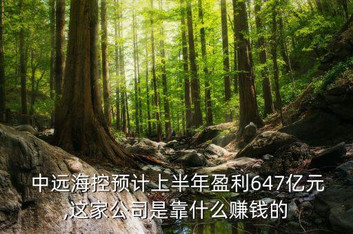  中遠?？仡A計上半年盈利647億元,這家公司是靠什么賺錢的