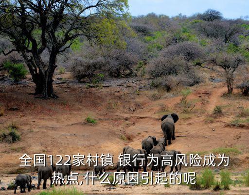 全國122家村鎮(zhèn) 銀行為高風險成為熱點,什么原因引起的呢