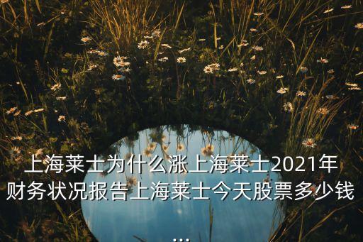 上海萊士為什么漲上海萊士2021年財(cái)務(wù)狀況報(bào)告上海萊士今天股票多少錢(qián)...