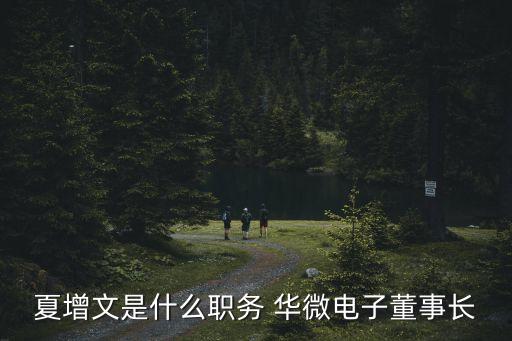 吉林華微電子現(xiàn)有控股公司