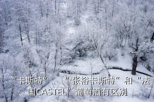 “卡斯特”、“ 張?jiān)？ㄋ固亍焙汀胺▏?guó)CASTEL”葡萄酒有區(qū)別