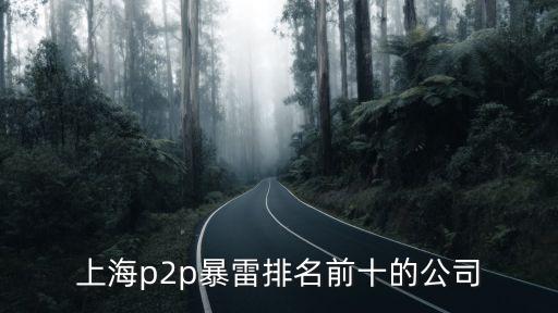 上海p2p暴雷排名前十的公司