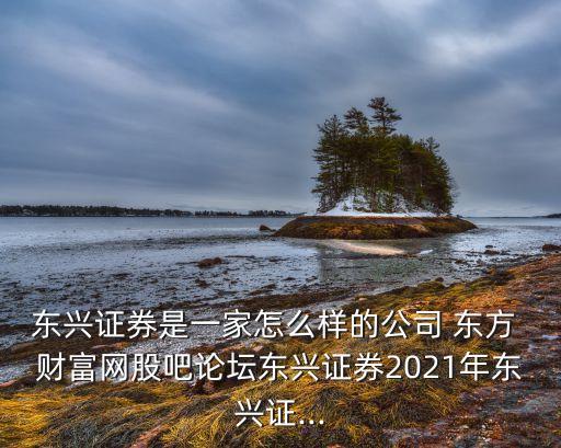 東興證券是一家怎么樣的公司 東方 財富網(wǎng)股吧論壇東興證券2021年東興證...