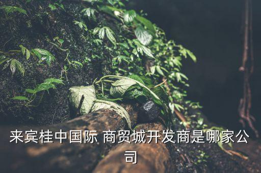 來賓桂中國際 商貿(mào)城開發(fā)商是哪家公司