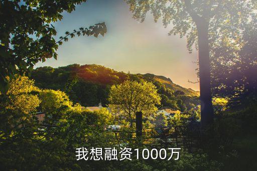 我想融資1000萬(wàn)