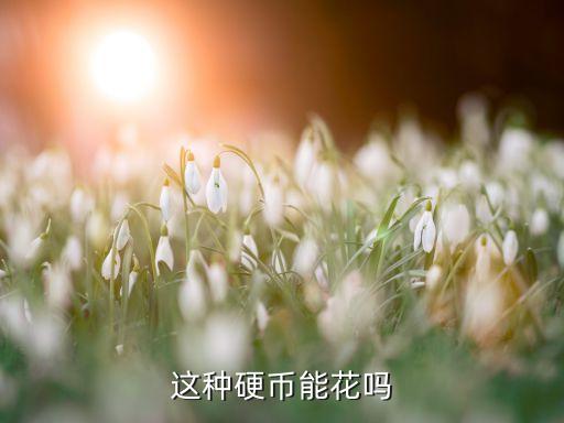 這種硬幣能花嗎