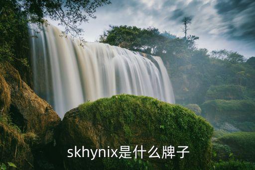  skhynix是什么牌子