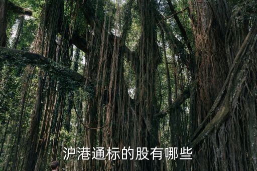 北京瀚藍文化傳播有限公司,北京藍站文化傳播有限公司