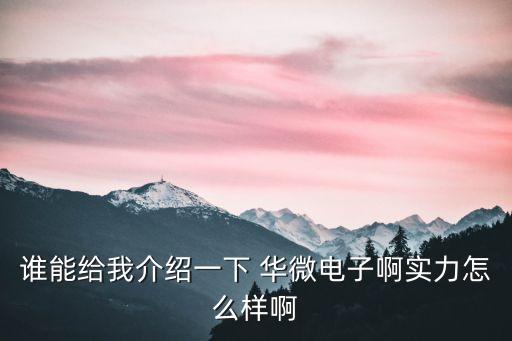 誰能給我介紹一下 華微電子啊實(shí)力怎么樣啊