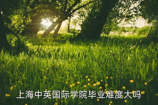 上海中英國際學院畢業(yè)難度大嗎