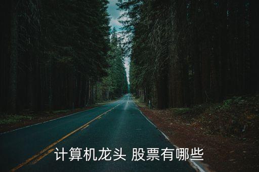 計(jì)算機(jī)龍頭 股票有哪些