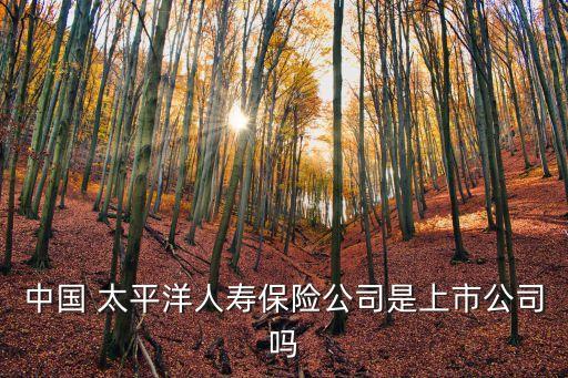 中國 太平洋人壽保險(xiǎn)公司是上市公司嗎