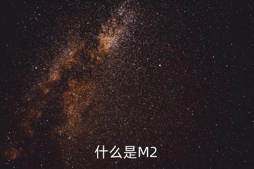 什么是M2