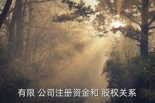 以股權(quán)出資成立公司,股權(quán)出資成立公司評(píng)估增值的企業(yè)所得稅如何計(jì)算