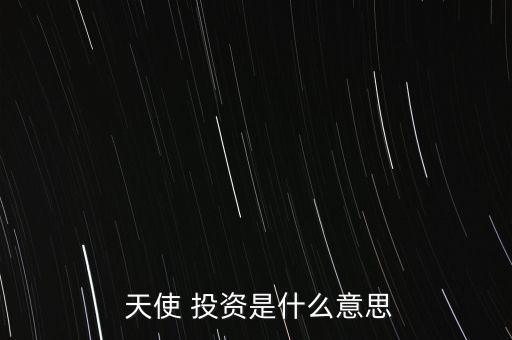  天使 投資是什么意思