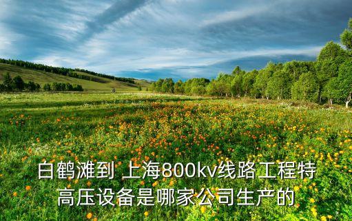 白鶴灘到 上海800kv線路工程特高壓設備是哪家公司生產(chǎn)的