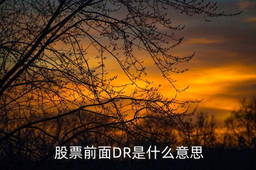  股票前面DR是什么意思