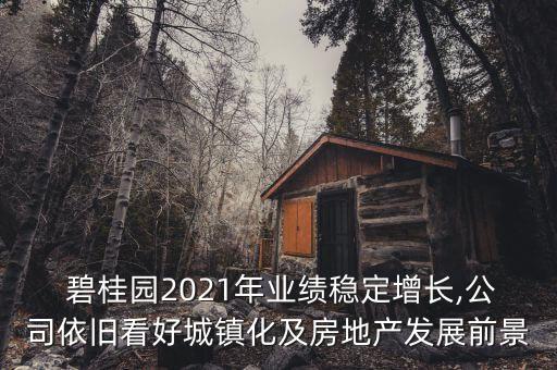  碧桂園2021年業(yè)績穩(wěn)定增長,公司依舊看好城鎮(zhèn)化及房地產(chǎn)發(fā)展前景