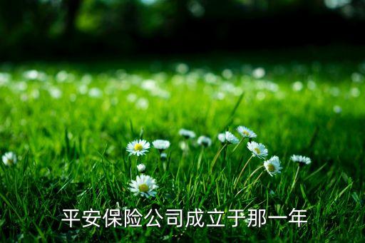  平安保險(xiǎn)公司成立于那一年