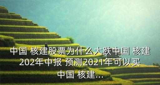 中國(guó) 核建股票為什么大跌中國(guó) 核建202年中報(bào) 預(yù)測(cè)2021年可以買(mǎi)中國(guó) 核建...