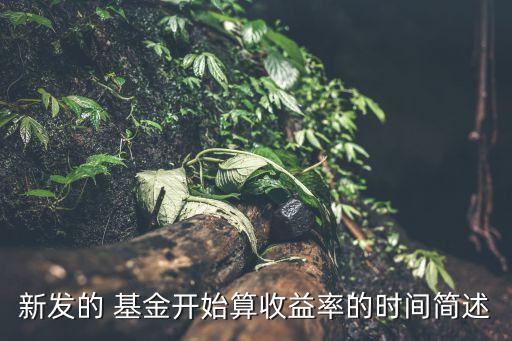 新發(fā)的 基金開始算收益率的時間簡述