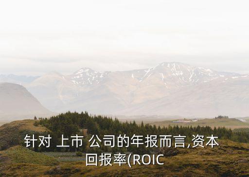 針對(duì) 上市 公司的年報(bào)而言,資本 回報(bào)率(ROIC