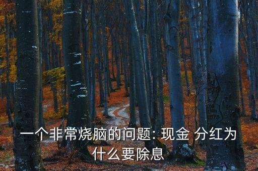 一個非常燒腦的問題: 現(xiàn)金 分紅為什么要除息