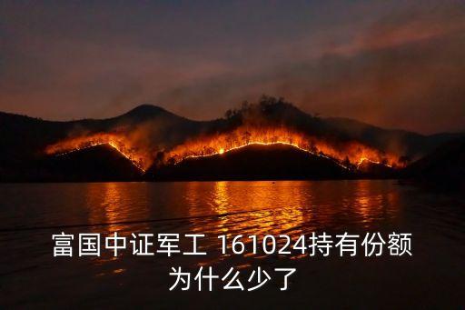 富國中證軍工 161024持有份額為什么少了