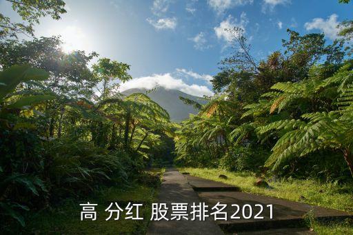 高 分紅 股票排名2021