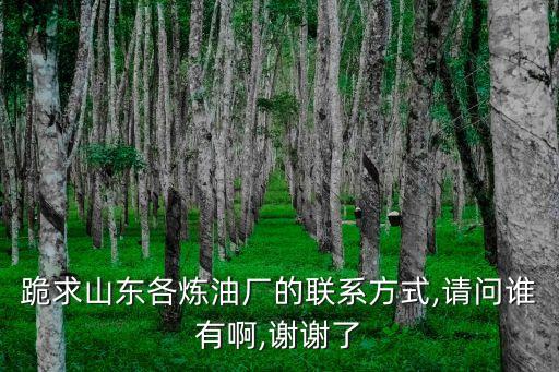 跪求山東各煉油廠的聯(lián)系方式,請問誰有啊,謝謝了