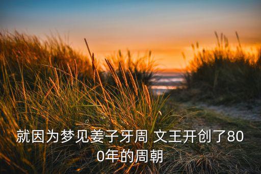 就因?yàn)閴?mèng)見姜子牙周 文王開創(chuàng)了800年的周朝