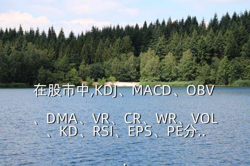 在股市中,KDJ、MACD、OBV、DMA、VR、CR、WR、VOL、KD、RSI、EPS、PE分...