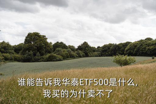 誰能告訴我華泰ETF500是什么,我買的為什賣不了