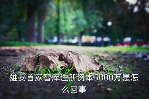 雄安首家智庫(kù)注冊(cè)資本5000萬是怎么回事