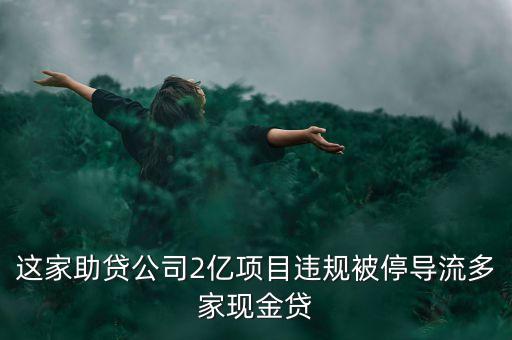 長(zhǎng)春嘉瑞擔(dān)保有限公司,長(zhǎng)春信用融資再擔(dān)保有限公司