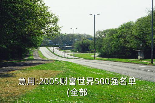 急用:2005財富世界500強名單(全部