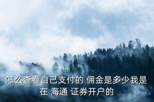 怎么查看自己支付的 傭金是多少我是在 海通 證券開戶的