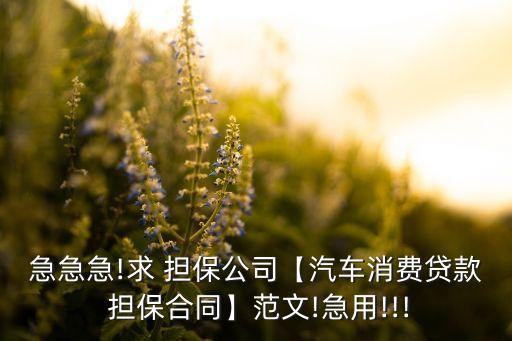 急急急!求 擔保公司【汽車消費貸款 擔保合同】范文!急用!!!