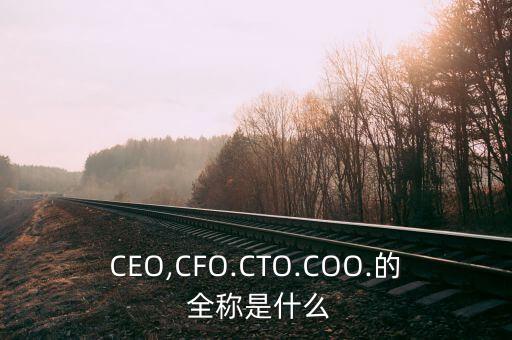 CEO,CFO.CTO.COO.的 全稱是什么