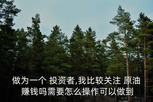 做為一個 投資者,我比較關注 原油 賺錢嗎需要怎么操作可以做到