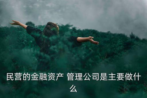 民營(yíng)的金融資產(chǎn) 管理公司是主要做什么