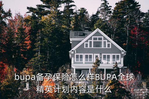 bupa備孕保險怎么樣BUPA全球精英計劃內(nèi)容是什么