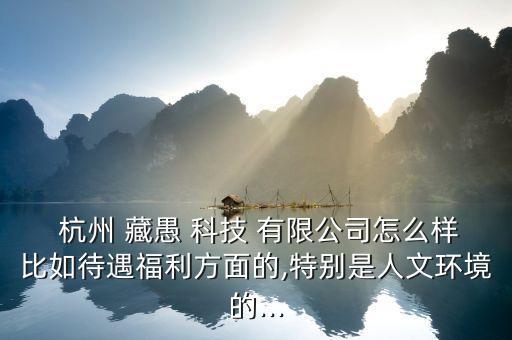 杭州藏愚科技有限公司怎么樣,杭州愚形網(wǎng)絡(luò)科技有限公司