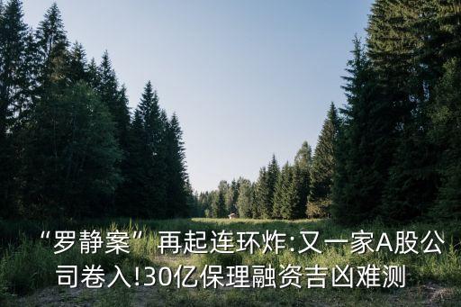 “羅靜案”再起連環(huán)炸:又一家A股公司卷入!30億保理融資吉兇難測