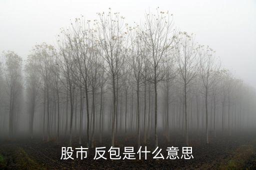 股市 反包是什么意思