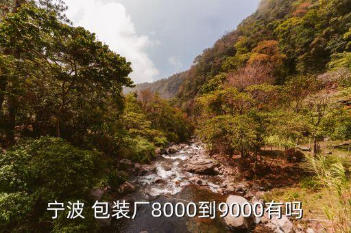 寧波 包裝廠8000到9000有嗎