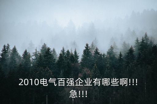 2010電氣百?gòu)?qiáng)企業(yè)有哪些啊!!!急!!!