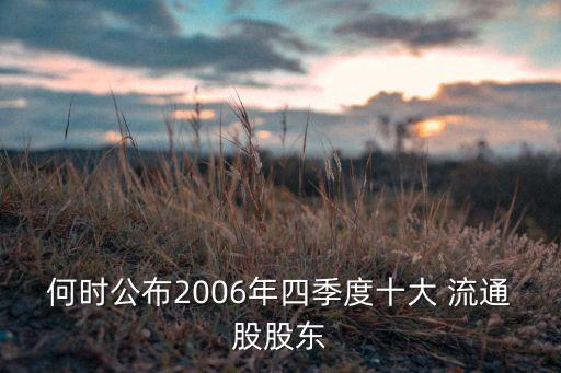 何時公布2006年四季度十大 流通股股東