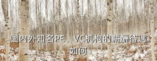 國內(nèi)外知名PE、VC機(jī)構(gòu)的薪酬待遇如何